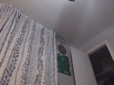 Owlpow online show from July 9, 2026, 8:04 am
