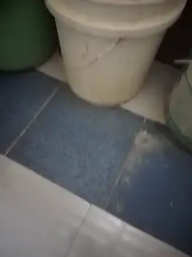 Snapshot of HeatableRevan chatting on March 24, 2026, 12:21 am HeatableRevan online show from March 24, 2026, 12:21 am