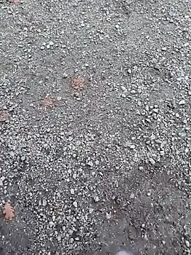 Imyourguy2025 online show from November 1, 2025, 2:11 pm