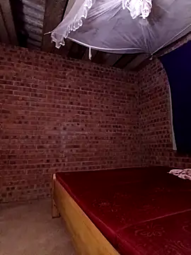 sowbibi online show from November 14, 2025, 11:25 am