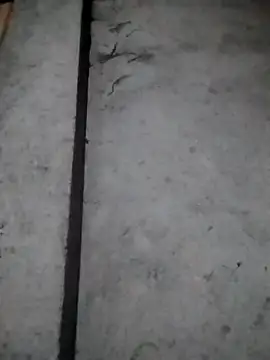 rickkis2k online show from December 16, 2025, 10:14 pm