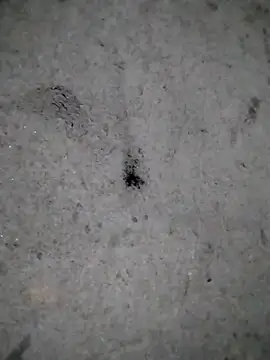 rickkis2k online show from December 21, 2025, 11:05 pm