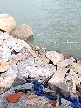 BruninhoRecife online show from November 14, 2025, 4:32 pm