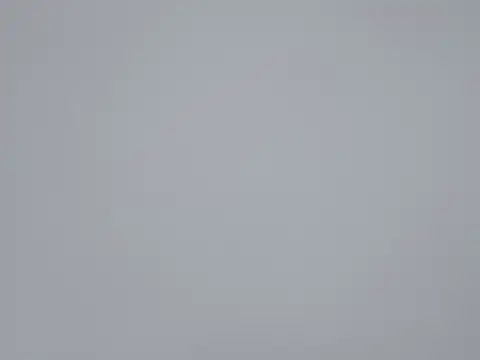 Snapshot of AA-61 chatting on October 25, 2025, 7:29 am AA-61 online show from October 25, 2025, 7:29 am