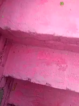 Janvi babby online show from October 24, 2025, 10:47 am