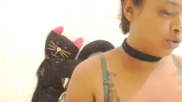 DOVE85 online show from December 14, 2025, 8:20 am