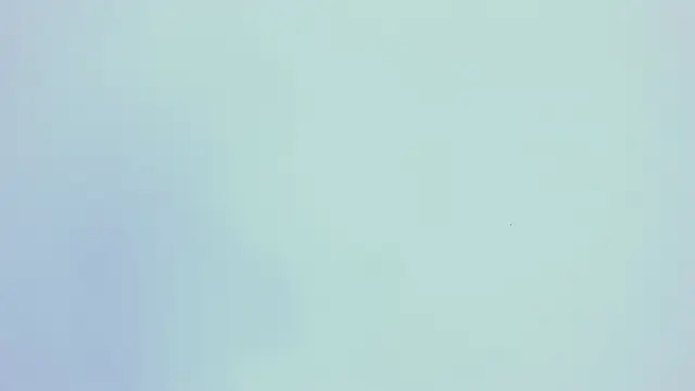 PariisTaylor online show from October 29, 2025, 7:46 pm