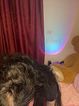 wetbyAlice online show from February 20, 2026, 12:51 am