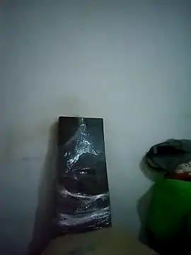 GordoChancludoSLP online show from November 2, 2025, 8:41 am