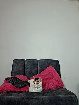 Mia fox29 online show from November 13, 2025, 11:14 am