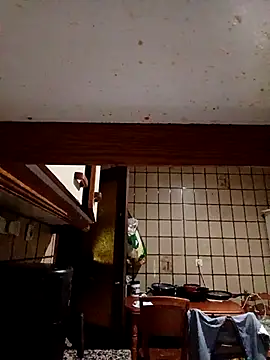 Morenitorico01 online show from November 6, 2025, 5:39 pm