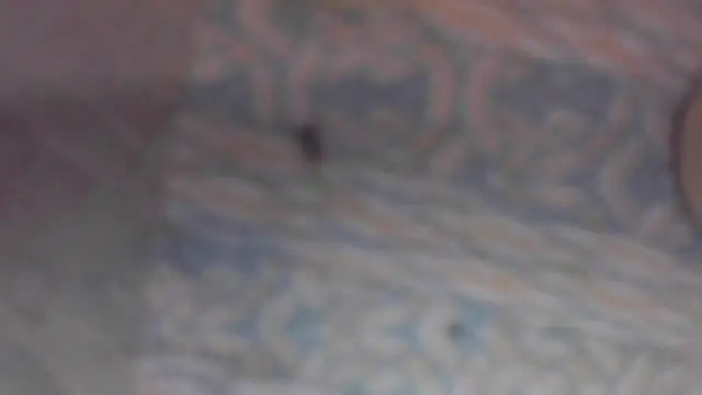 eppkswingcouple69 online show from March 22, 2026, 3:10 am