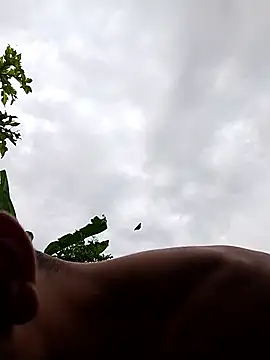 Alex Sweeting online show from January 12, 2026, 8:47 pm