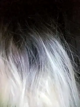 Lana-murr online show from May 1, 2026, 7:52 pm