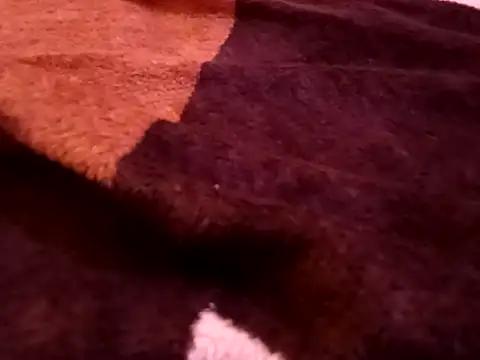 Snapshot of bigtelugubhama chatting on February 7, 2026, 8:28 pm bigtelugubhama online show from February 7, 2026, 8:28 pm