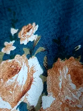 Snapshot of bigtelugubhama chatting on February 17, 2026, 7:11 pm bigtelugubhama online show from February 17, 2026, 7:11 pm