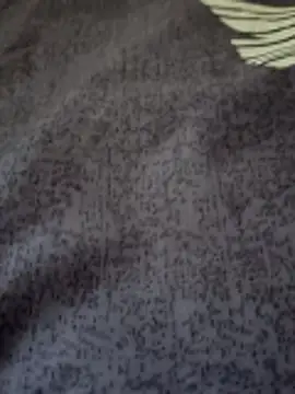 Snapshot of bigtelugubhama chatting on February 25, 2026, 7:19 am bigtelugubhama online show from February 25, 2026, 7:19 am