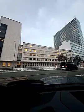 Snapshot of EchoVibe_86 chatting on January 7, 2026, 3:17 pm EchoVibe 86 online show from January 7, 2026, 3:17 pm