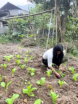 heodat-sexx online show from December 20, 2025, 9:45 am