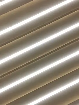 sabrinaneves online show from March 11, 2026, 10:42 am