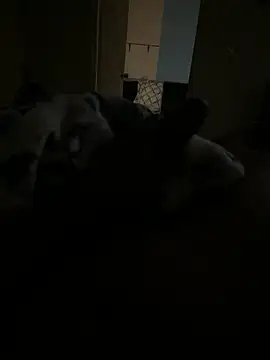 Snapshot of Trini2600 chatting on November 11, 2025, 7:36 am Trini2600 online show from November 11, 2025, 7:36 am