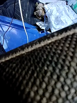 pino870 online show from November 13, 2025, 9:02 am