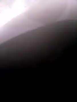 pino870 online show from January 14, 2026, 9:51 pm