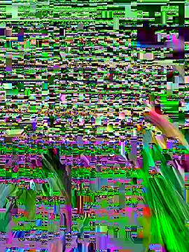 Snapshot of LilluKatten chatting on August 4, 2026, 9:14 am LilluKatten online show from August 4, 2026, 9:14 am
