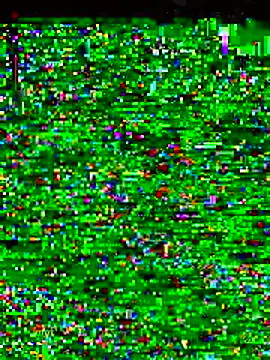 gatitaamelosaa7 online show from February 19, 2026, 9:45 pm