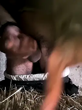 Snapshot of Realverse chatting on December 20, 2025, 3:37 pm Realverse online show from December 20, 2025, 3:37 pm