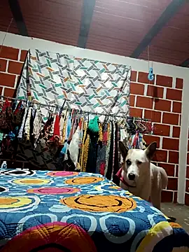 PaulinaLondra2 online show from December 19, 2025, 12:07 pm