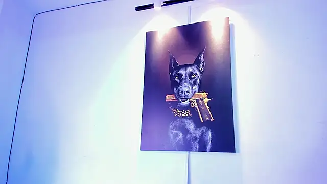 stiven 24cm online show from November 28, 2025, 7:08 am