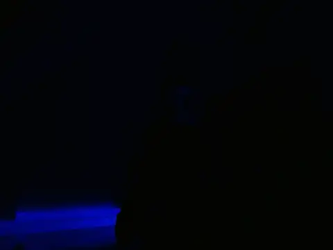 Dangerhook online show from November 20, 2025, 12:44 am