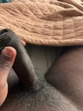 newboy02 online show from February 28, 2026, 10:48 am