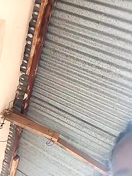 Momojasmine0 online show from November 7, 2025, 12:21 pm