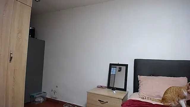  Pariiss online show from March 13, 2026, 8:14 pm