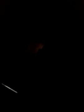 WillfulVideo online show from March 22, 2026, 11:06 pm