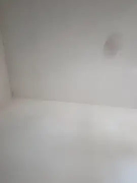 Lupercinio online show from November 29, 2025, 2:17 pm