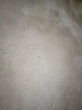 blonde blg online show from March 14, 2026, 11:33 pm