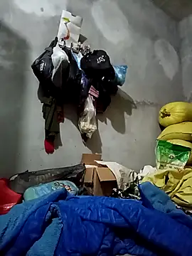 vangkt-cute online show from November 27, 2025, 6:41 pm