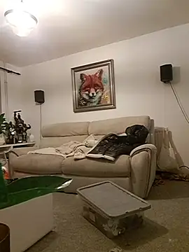 Snapshot of Adam11699 chatting on January 11, 2026, 3:46 am Adam11699 online show from January 11, 2026, 3:46 am