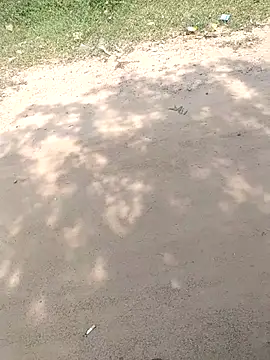 summa renu online show from November 15, 2025, 5:33 am