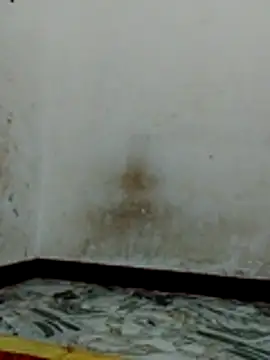 Bigg bhabi online show from January 31, 2026, 11:14 pm