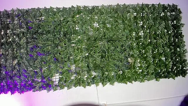 Snapshot of LiilithStonne chatting on March 16, 2026, 12:53 pm LiilithStonne online show from March 16, 2026, 12:53 pm