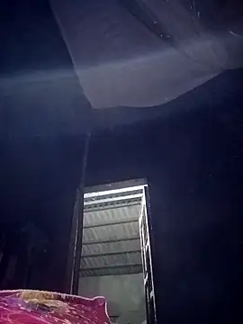 mon1-day online show from November 19, 2025, 11:32 am