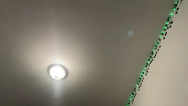 tinydaisy21 online show from December 2, 2025, 6:20 pm