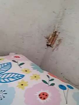 braidqueen00 online show from December 20, 2025, 5:27 pm