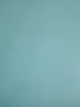 braidqueen00 online show from February 19, 2026, 7:55 pm