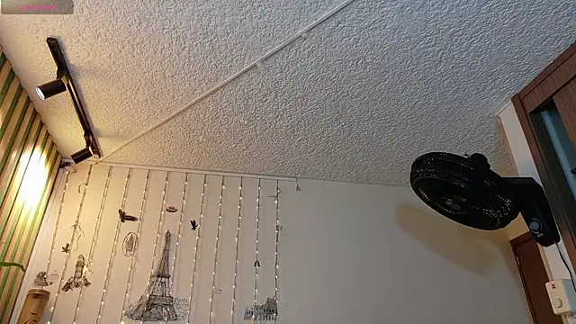 danna thiago1 online show from December 17, 2025, 11:48 am