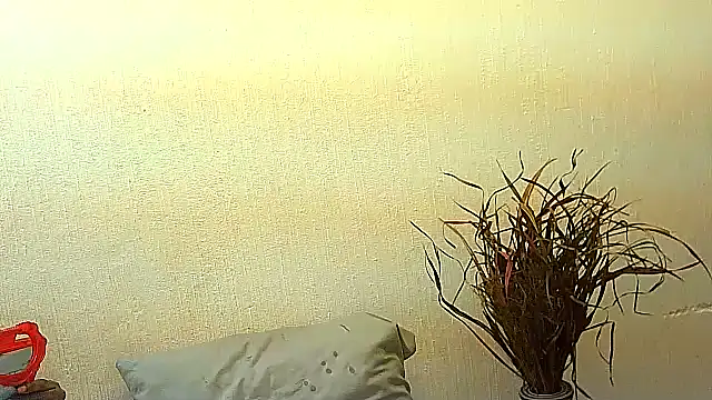 BrunetteNaomi8 online show from July 4, 2026, 8:02 pm